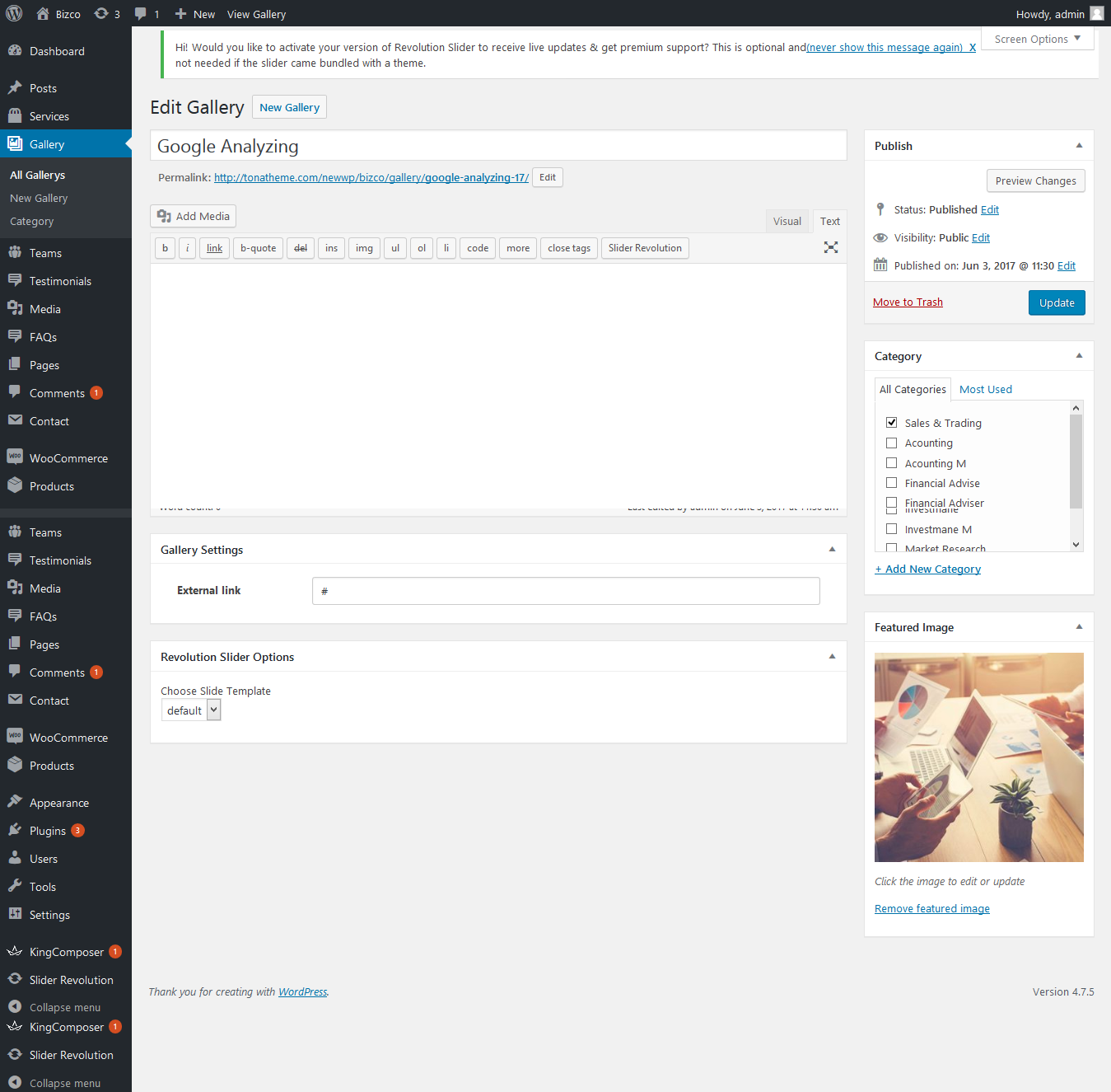 Radius WordPress Theme - Documentation