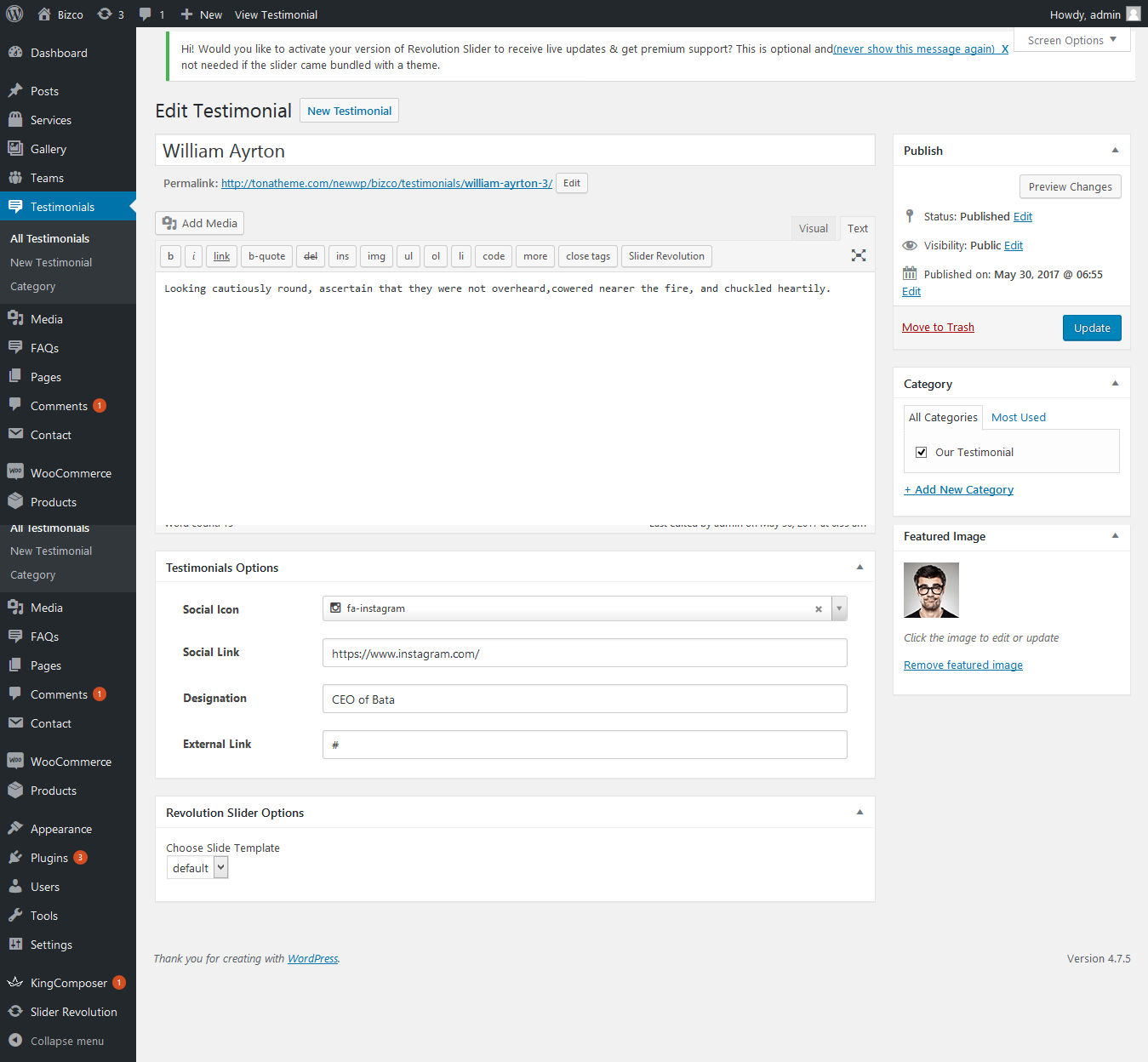 Radius WordPress Theme - Documentation