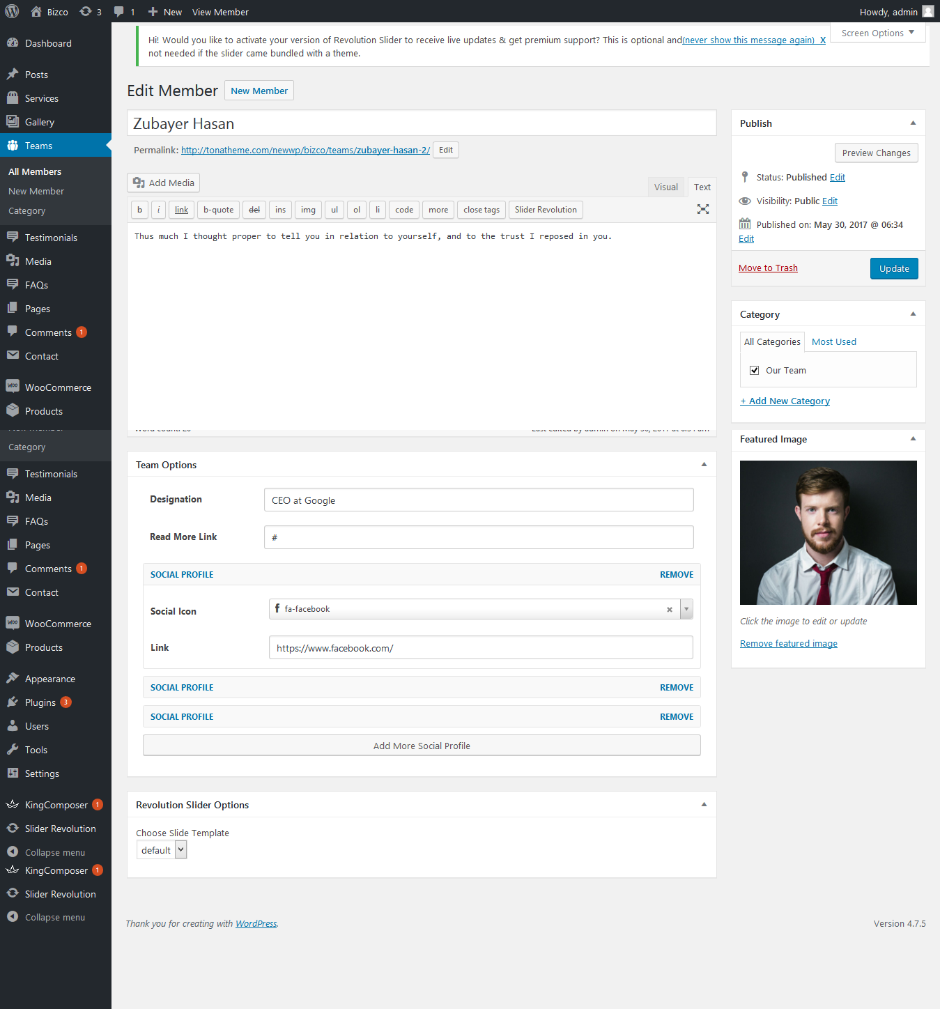 Radius WordPress Theme - Documentation